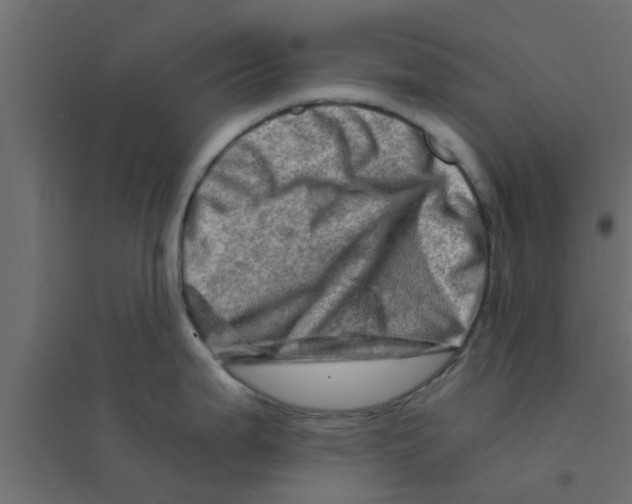 X0000094201199200711241630