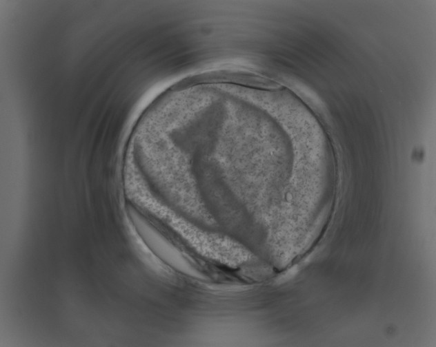 X0000094201200200711241630