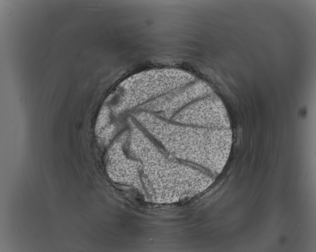 X0000094201201200711241629