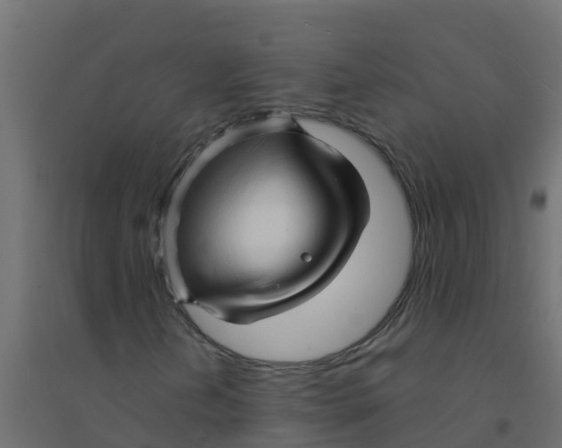 X0000094201202200711241629