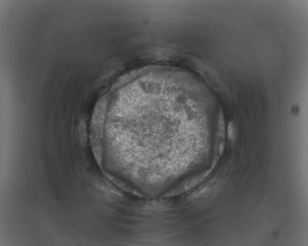 X0000094201203200711241629