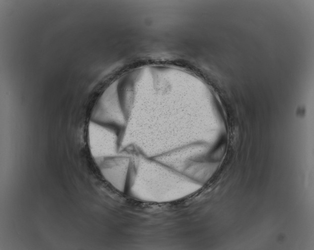 X0000094201205200711241629
