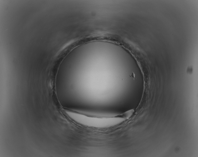 X0000094201206200711241629