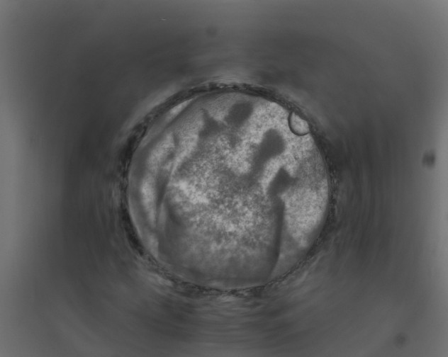 X0000094201207200711241630