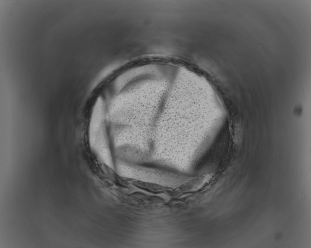 X0000094201208200711241630