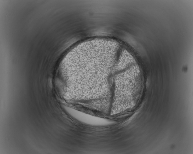 X0000094201209200711241630
