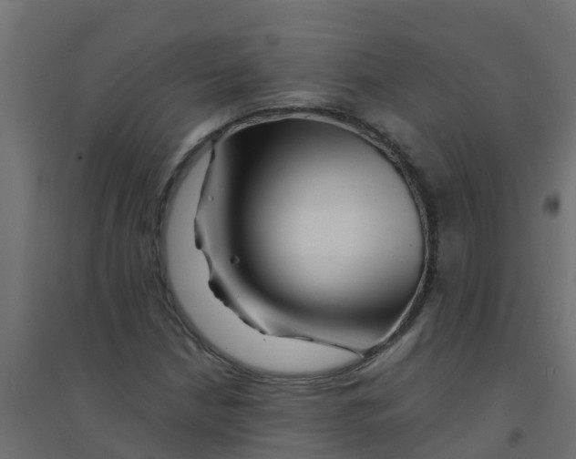 X0000094201210200711241630