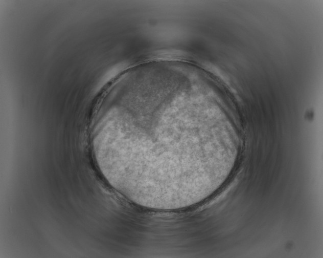 X0000094201211200711241630