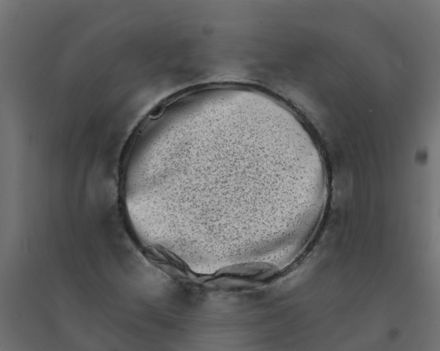 X0000094201212200711241630