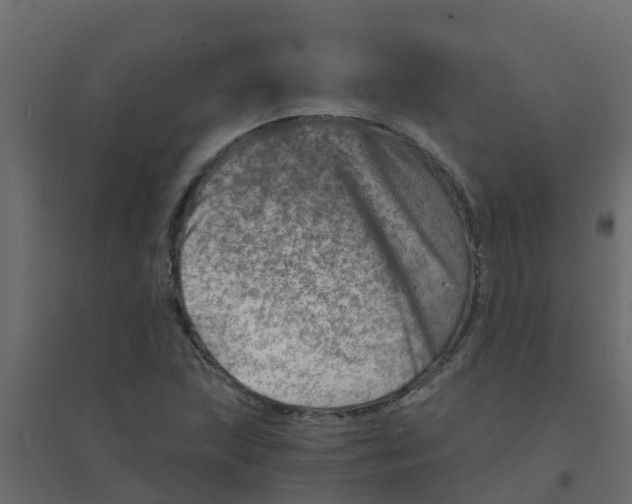 X0000094201215200711241630
