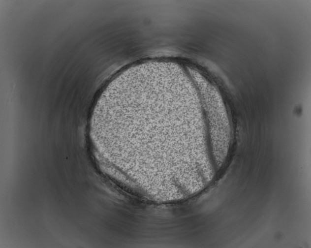X0000094201217200711241630