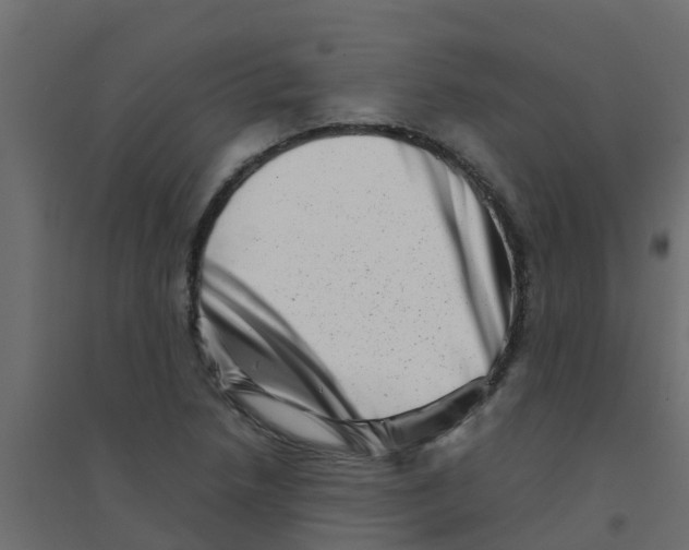 X0000094201218200711241630