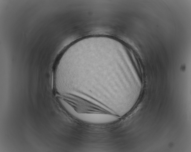 X0000094201219200711241630