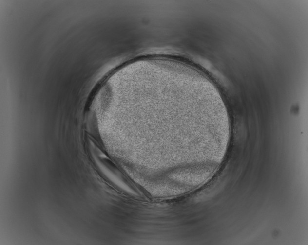 X0000094201221200711241630