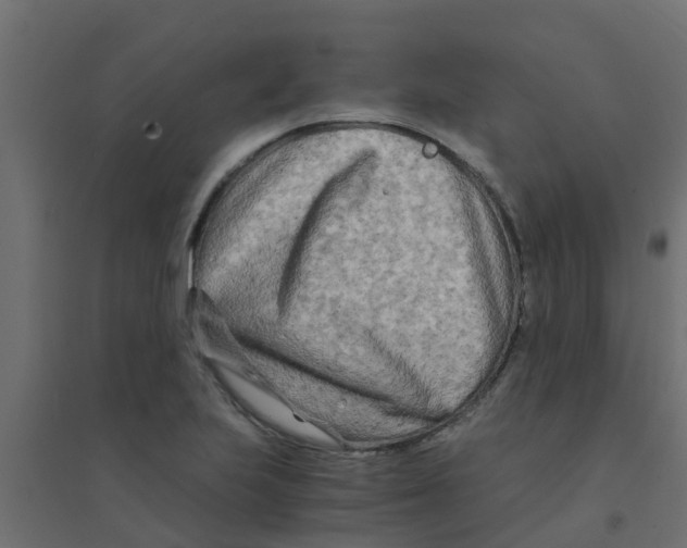 X0000094201223200711241630