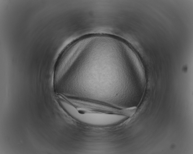 X0000094201224200711241630