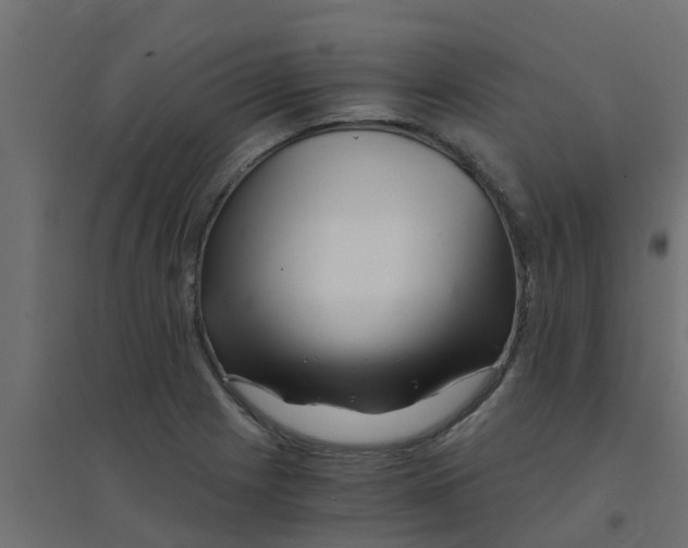 X0000094201225200711241630