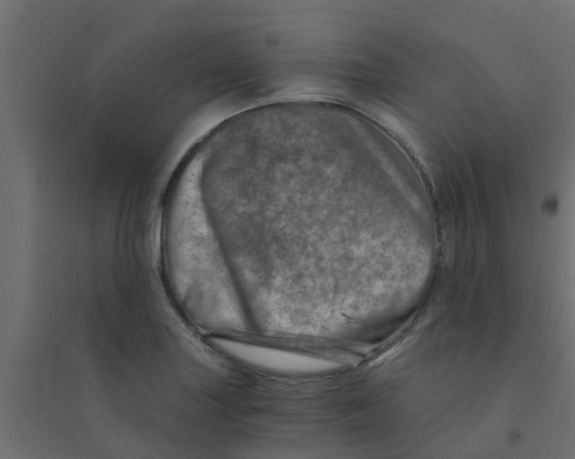 X0000094201227200711241630