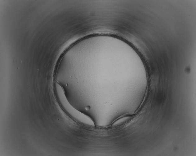 X0000094201229200711241630