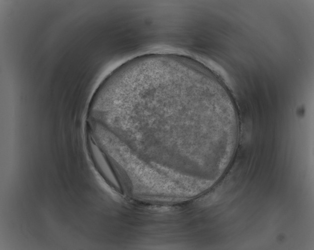 X0000094201231200711241630