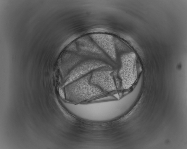 X0000094201233200711241630