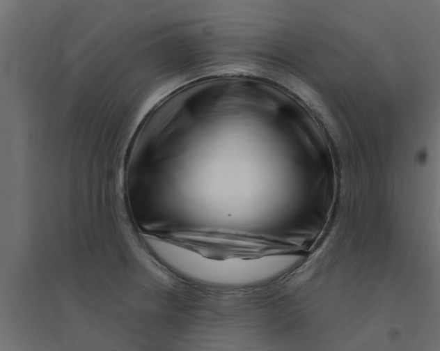 X0000094201234200711241630