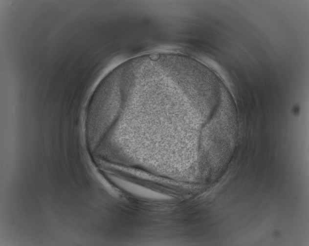 X0000094201235200711241630