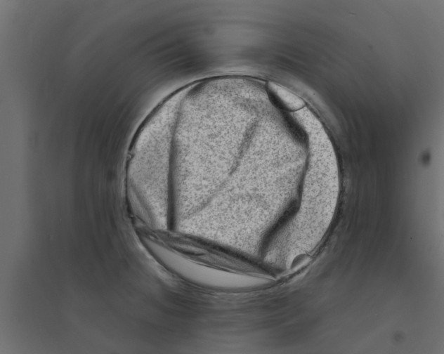 X0000094201236200711241630