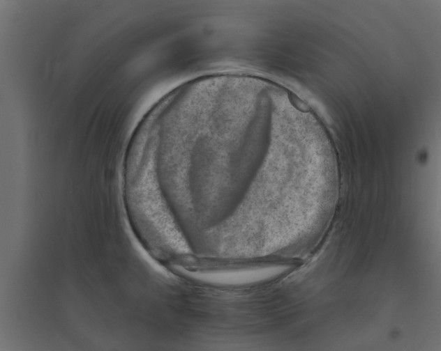 X0000094201239200711241630