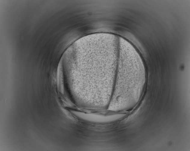 X0000094201241200711241630