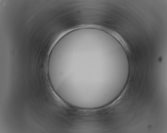 X0000094201244200711241630