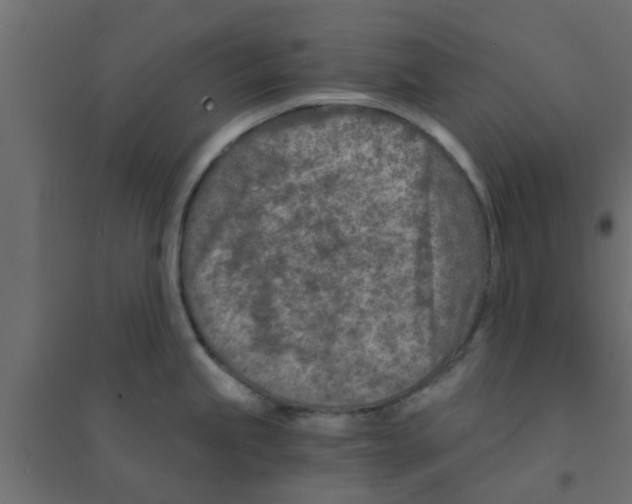 X0000094201245200711241630