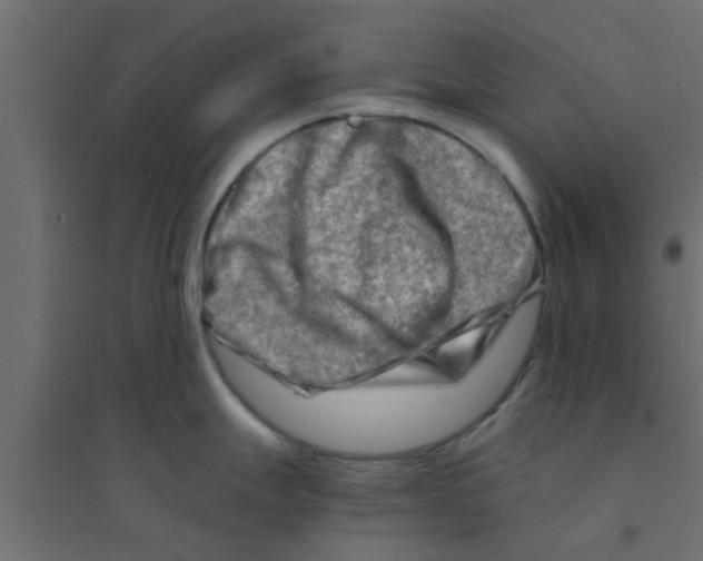 X0000094201247200711241630