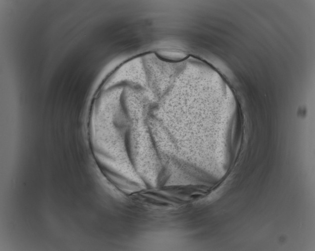 X0000094201248200711241630