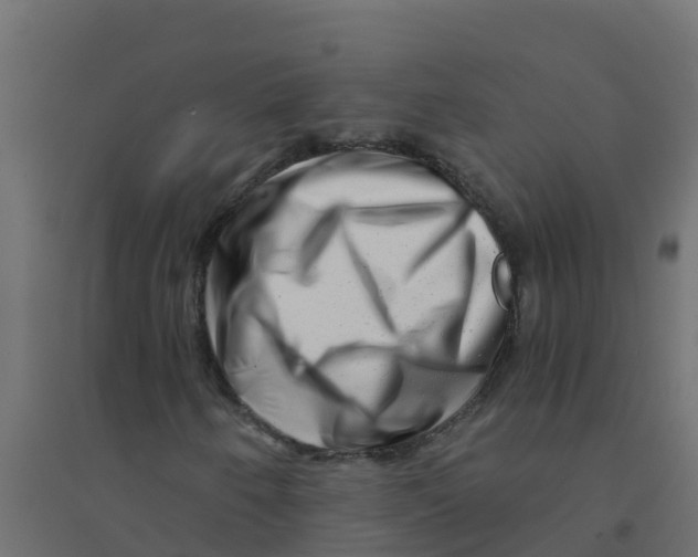 X0000094201250200711241629