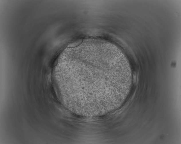 X0000094201251200711241629