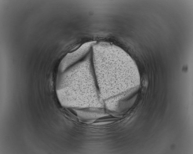 X0000094201252200711241629