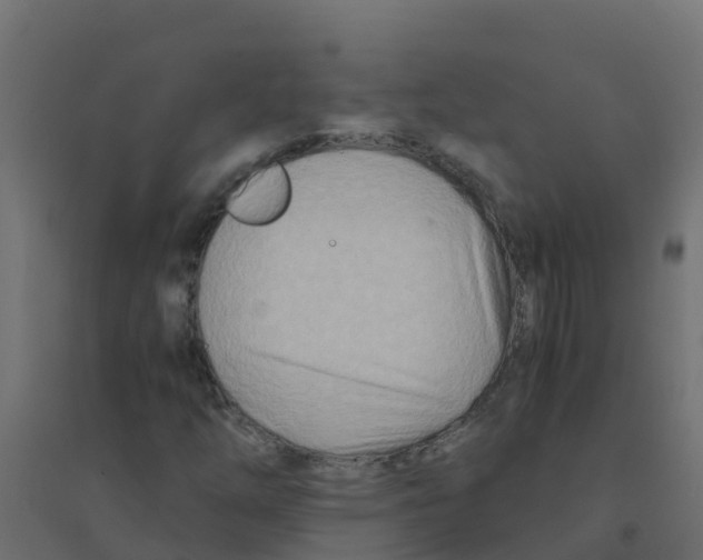 X0000094201254200711241629