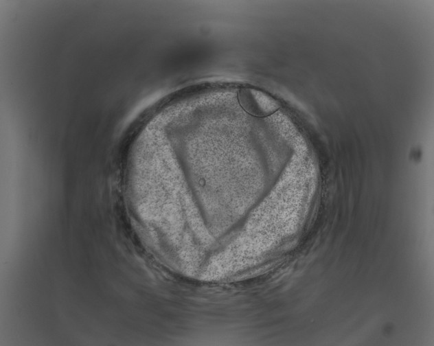 X0000094201255200711241629