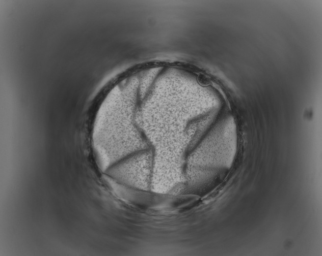 X0000094201256200711241629