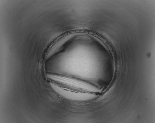 X0000094201257200711241629