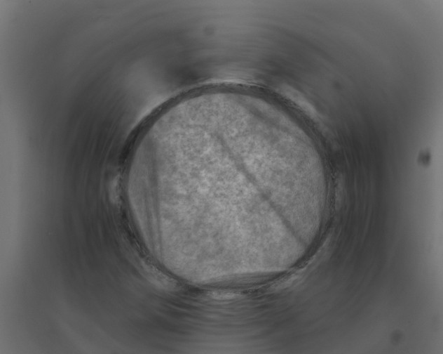 X0000094201258200711241629