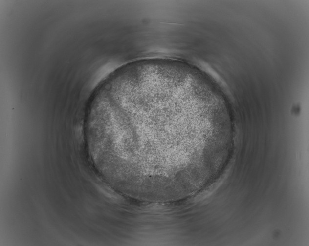 X0000094201259200711241629