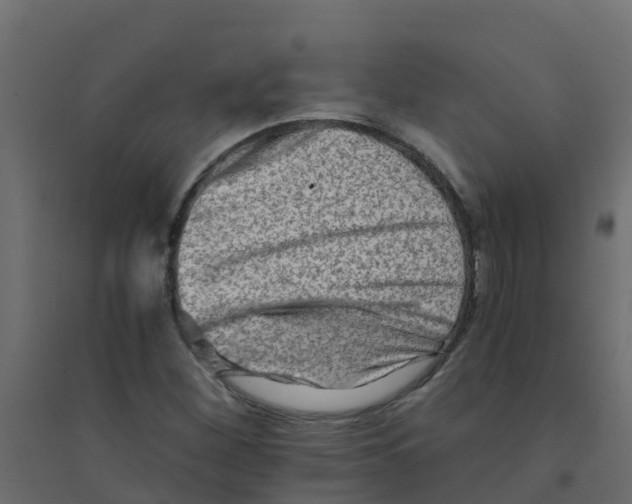 X0000094201260200711241629