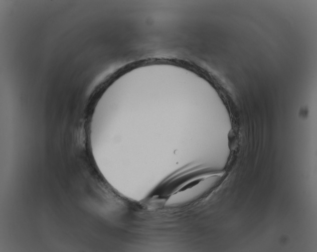 X0000094201262200711241629