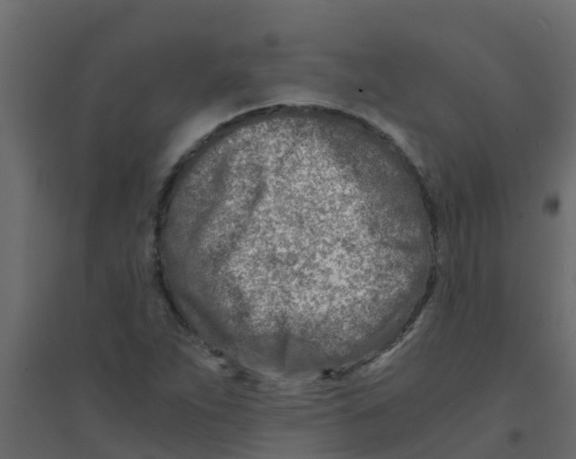 X0000094201263200711241629