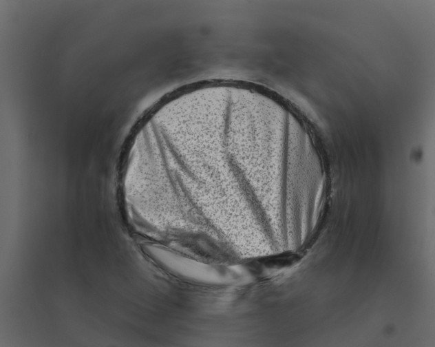 X0000094201264200711241629