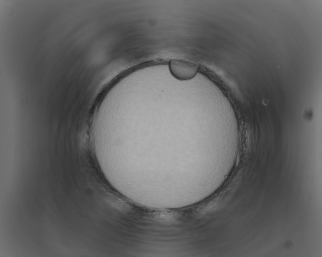 X0000094201266200711241629