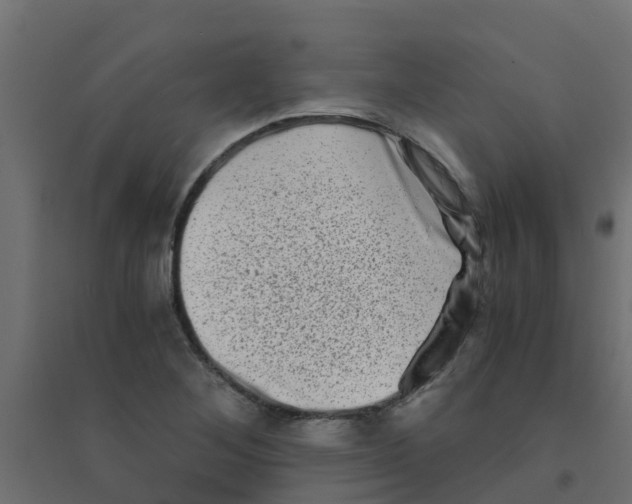 X0000094201268200711241629