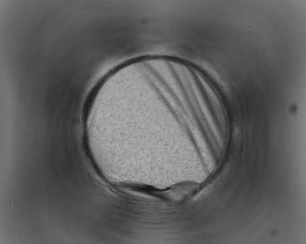 X0000094201270200711241629